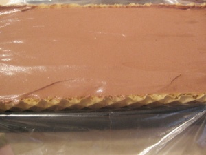 prajitura-acoperis-casa-piscoturi-crema-ciocolata-4