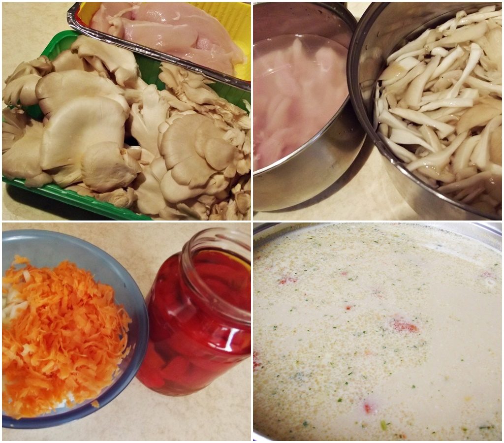 Ciorba-pleurotus-piept-pui-1