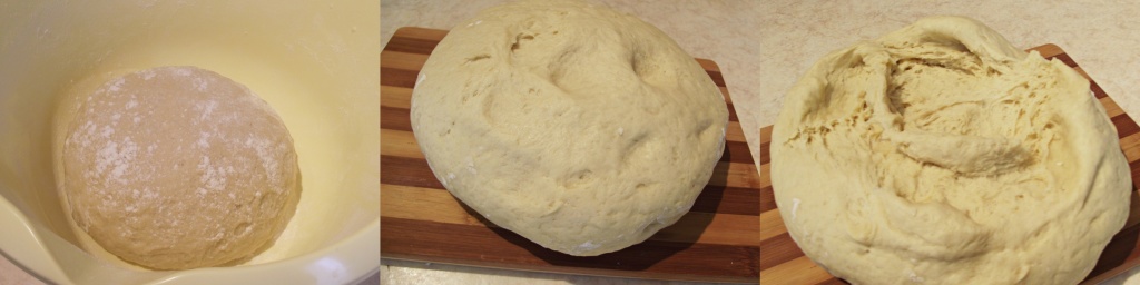 Rulouri-scortisoara-2