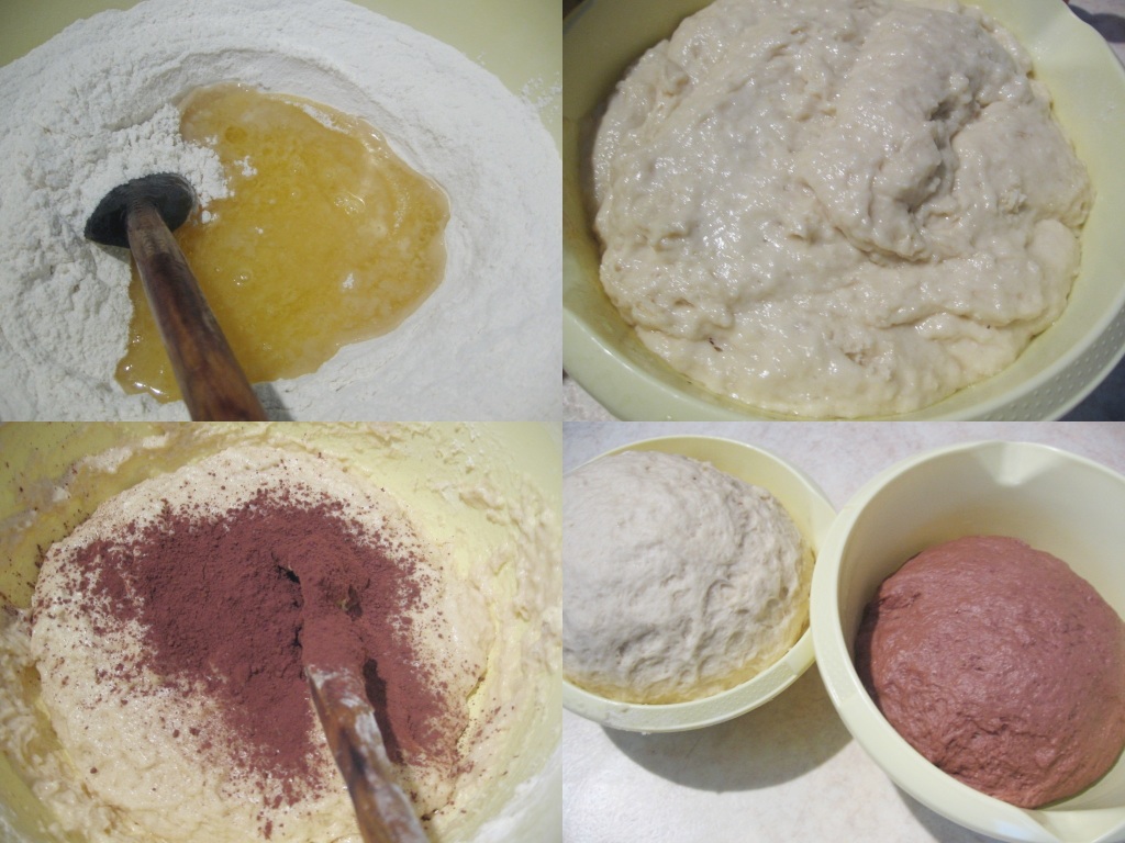 Cornuri-bicolore-2