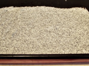prajitura-Sah-2