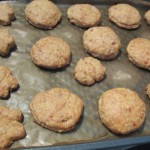 Aperitiv- fulgi-ovaz-salam-cascaval-7