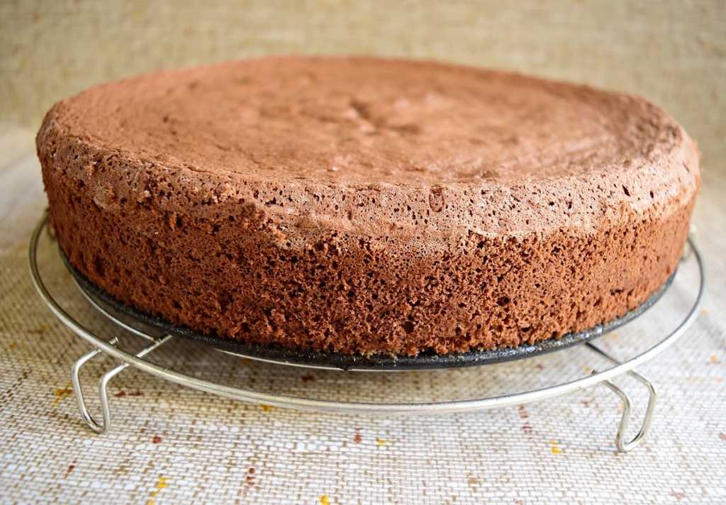 Blat de tort cu cacao